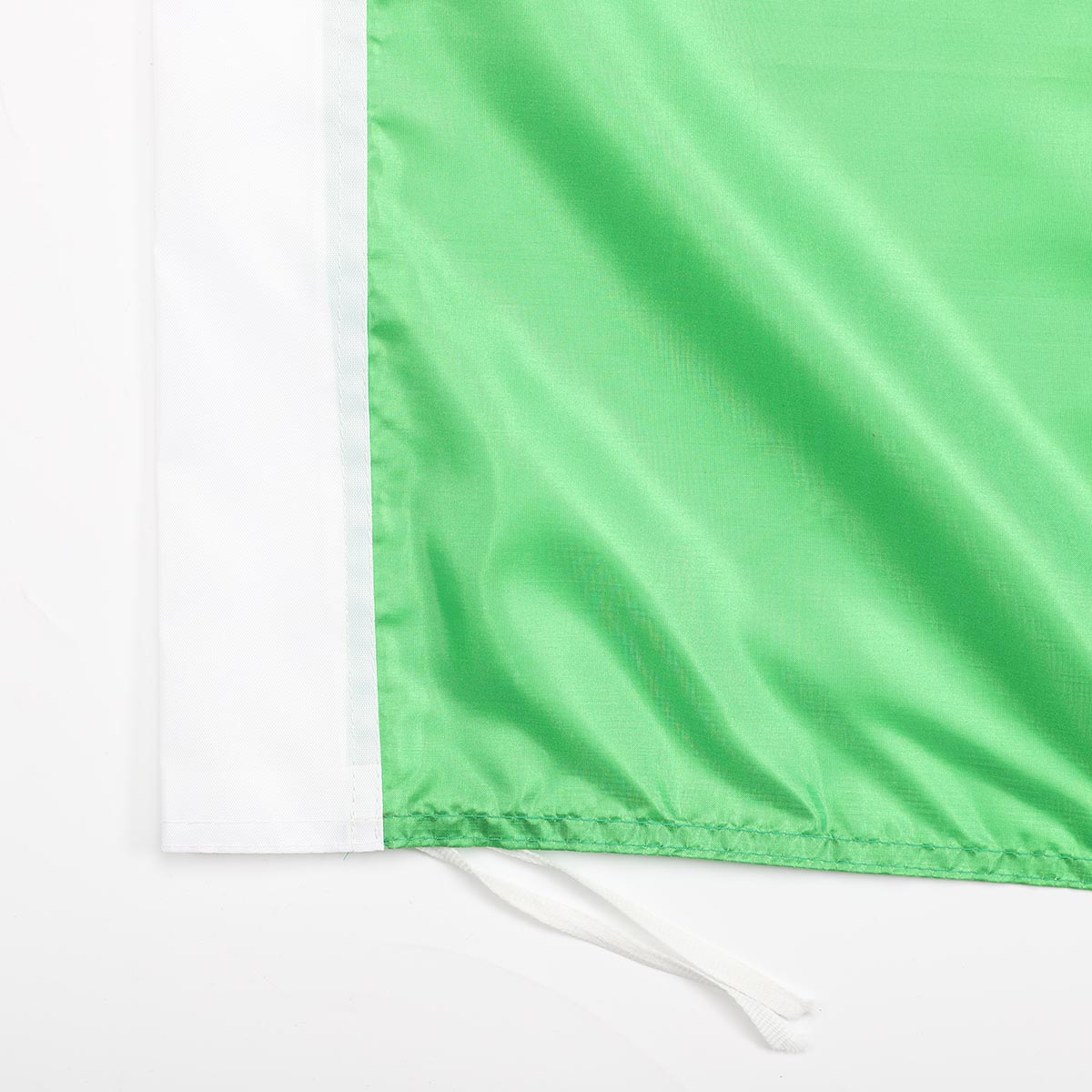 Brazilian flag-2.jpg